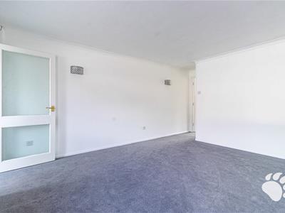 Picture 28